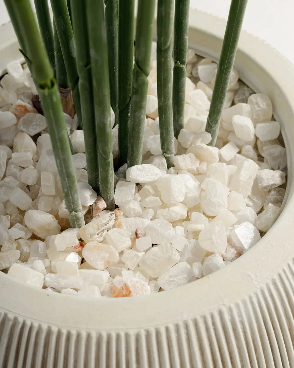 artificial plants uae