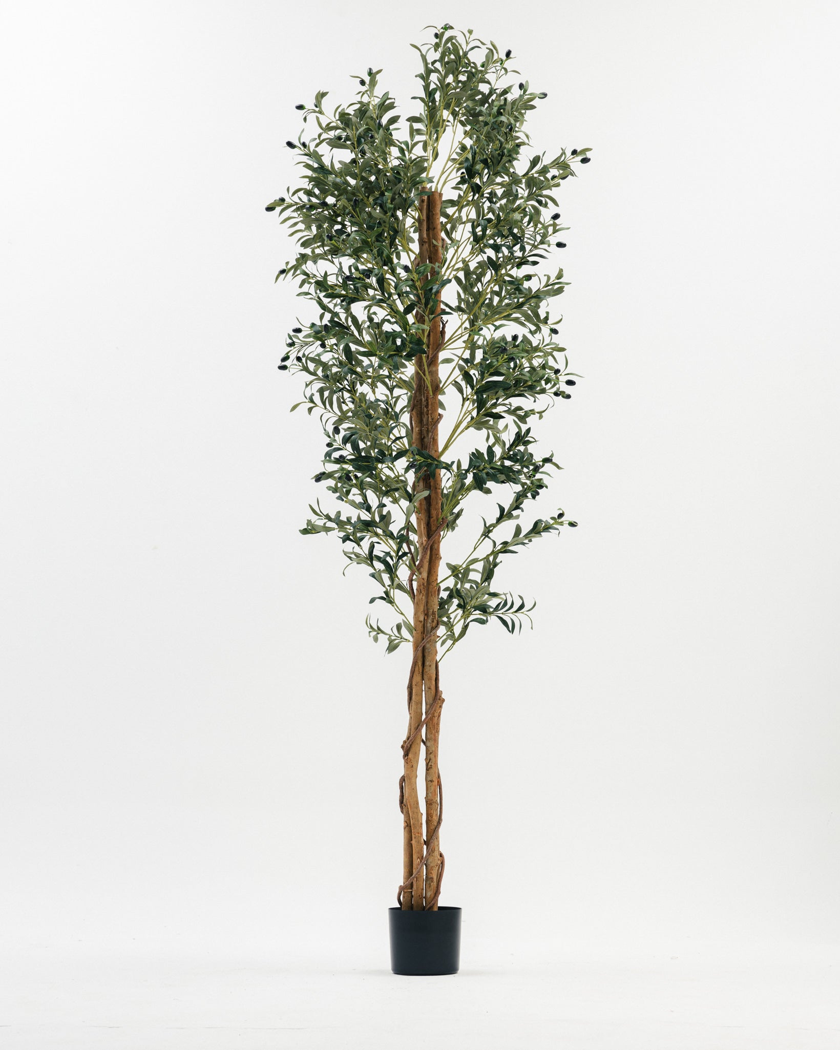 شجرة زيتون صناعية Wasilaah UAE