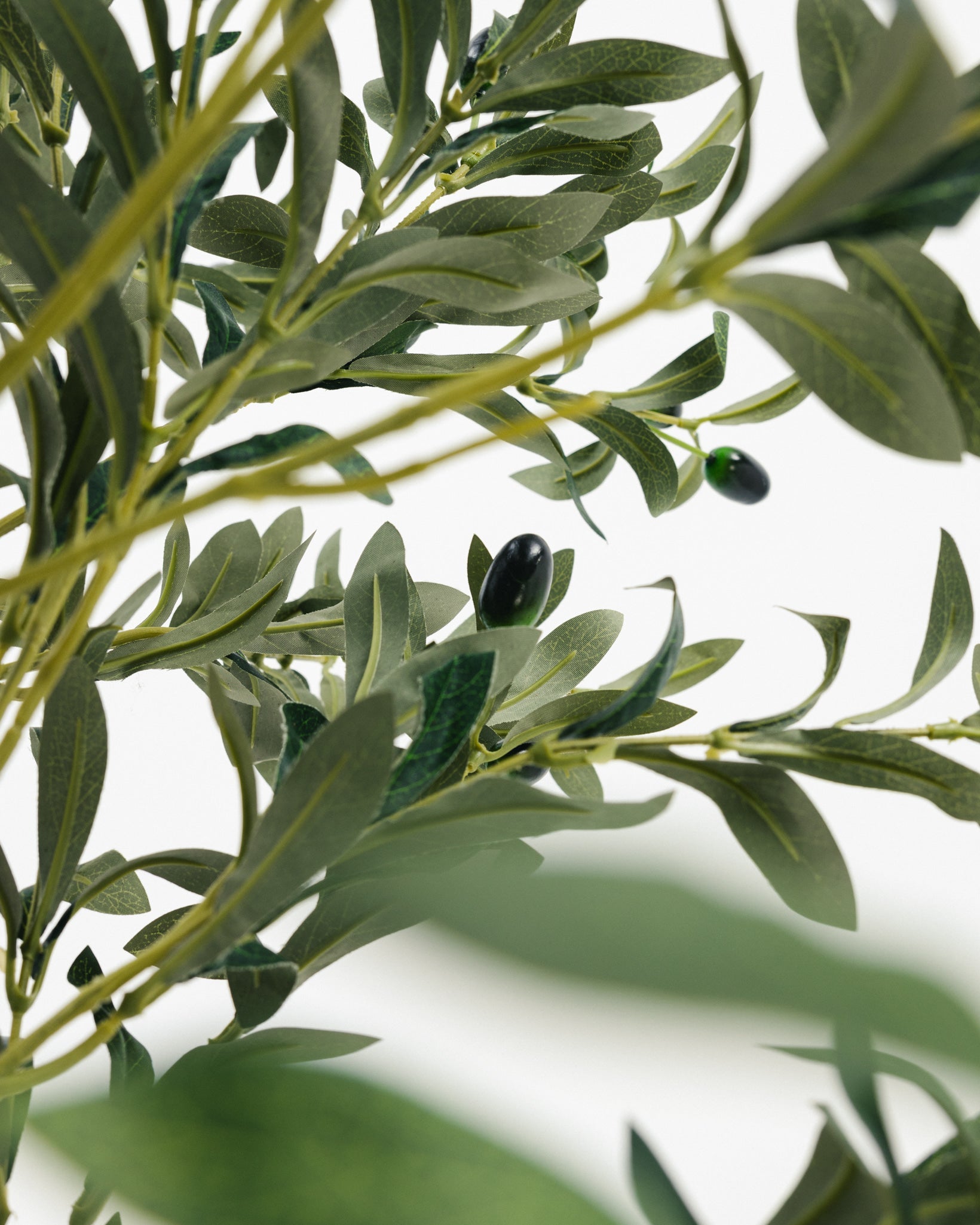 شجرة زيتون صناعية Wasilaah UAE