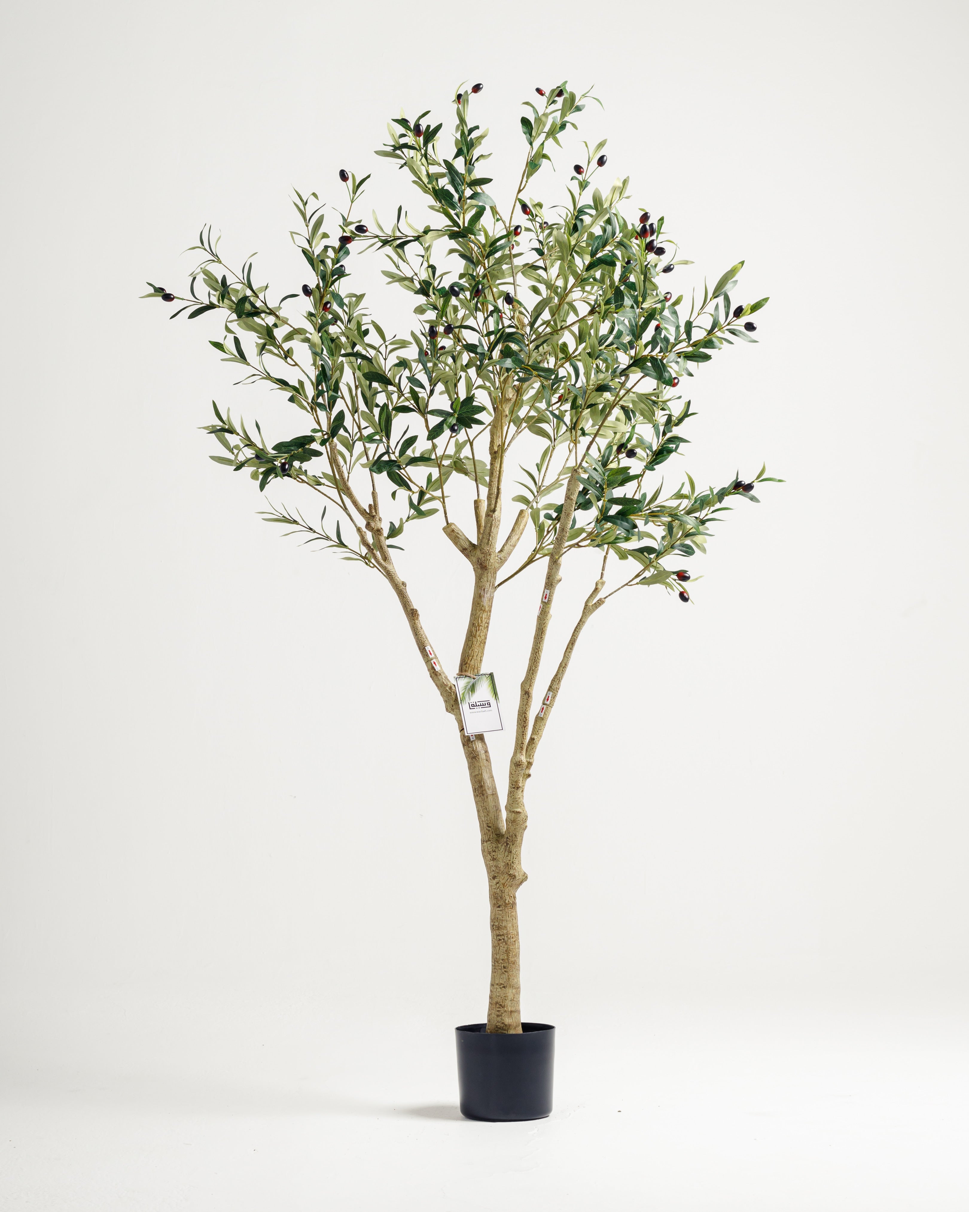 Olive Multi Stem Artificial Tree