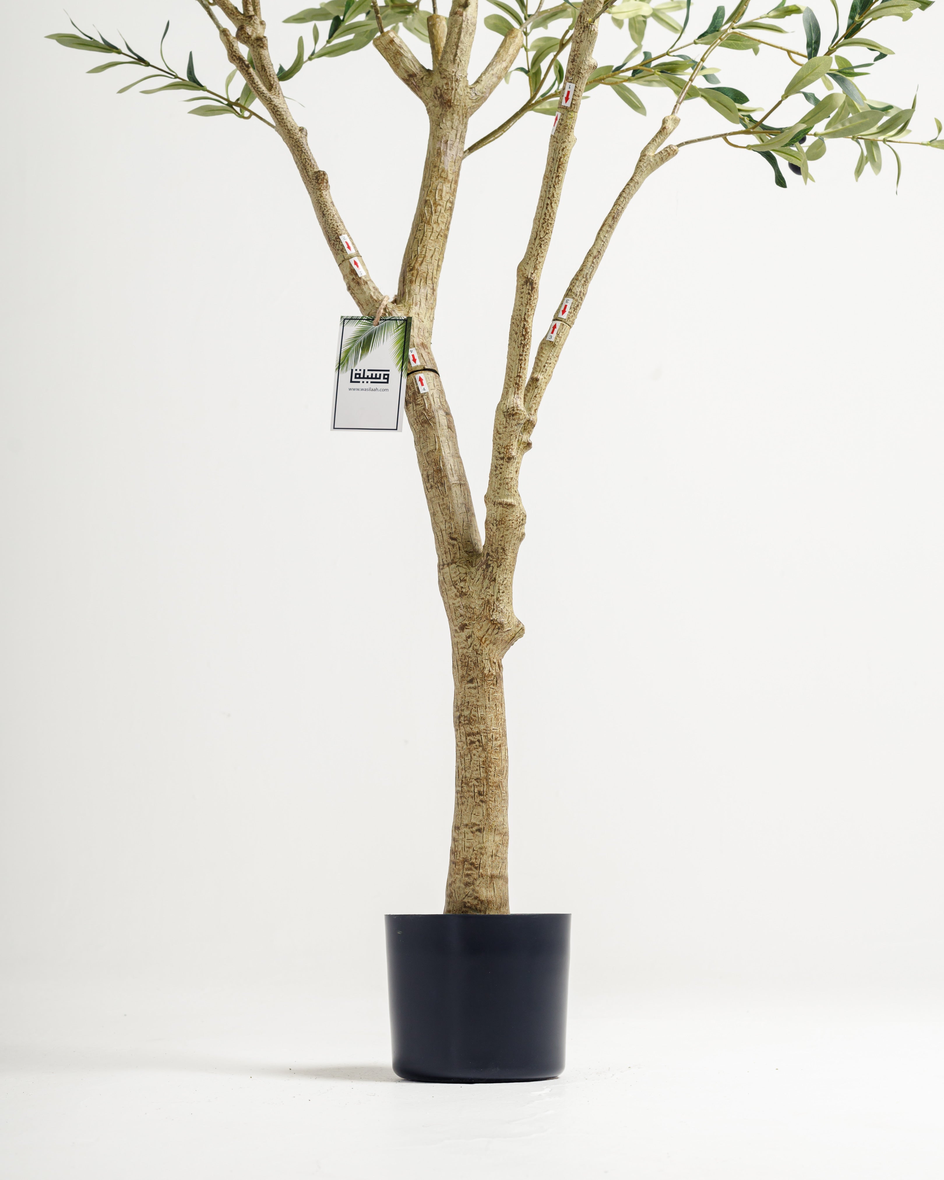 Olive Multi Stem Artificial Tree