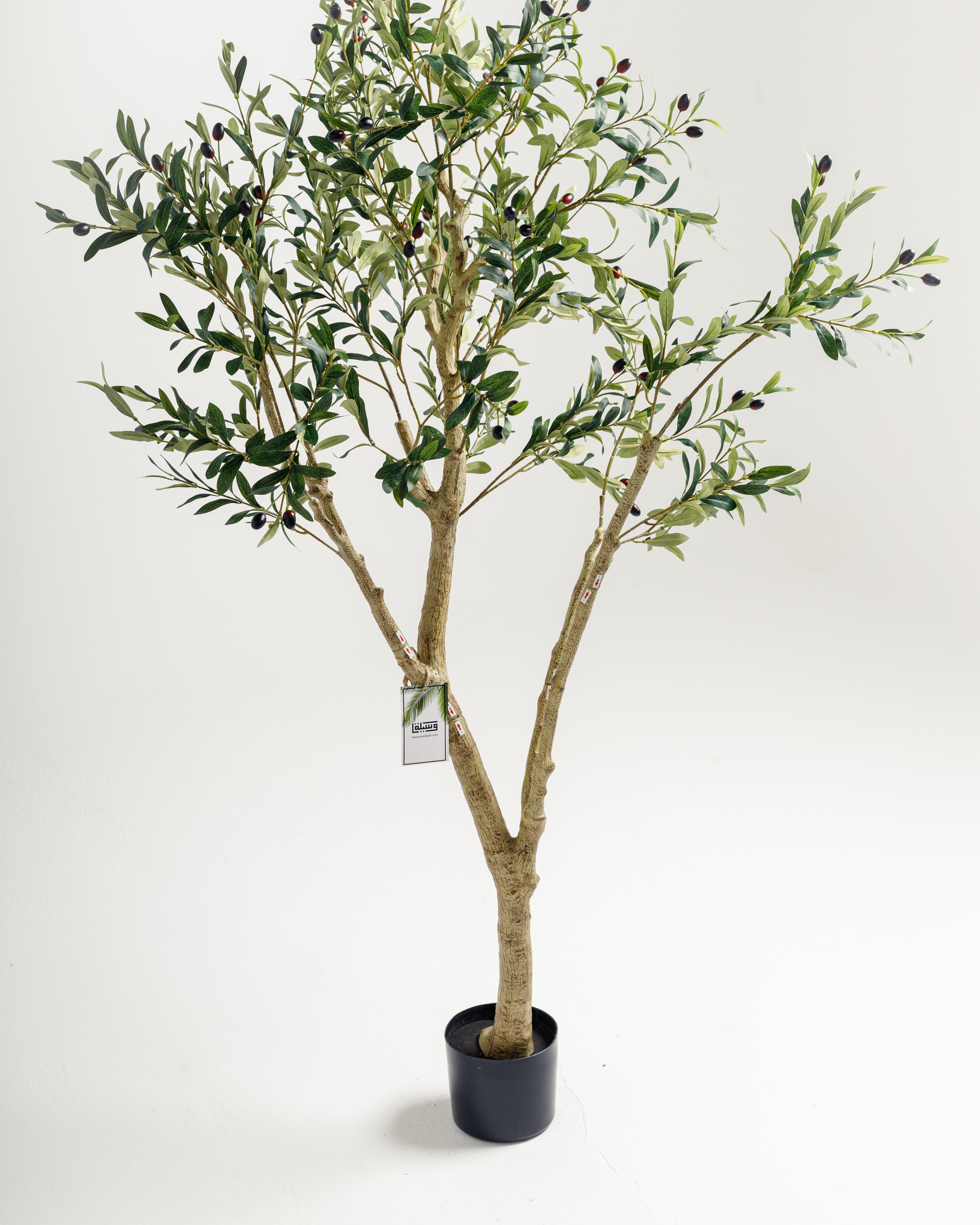 Olive Multi Stem Artificial Tree