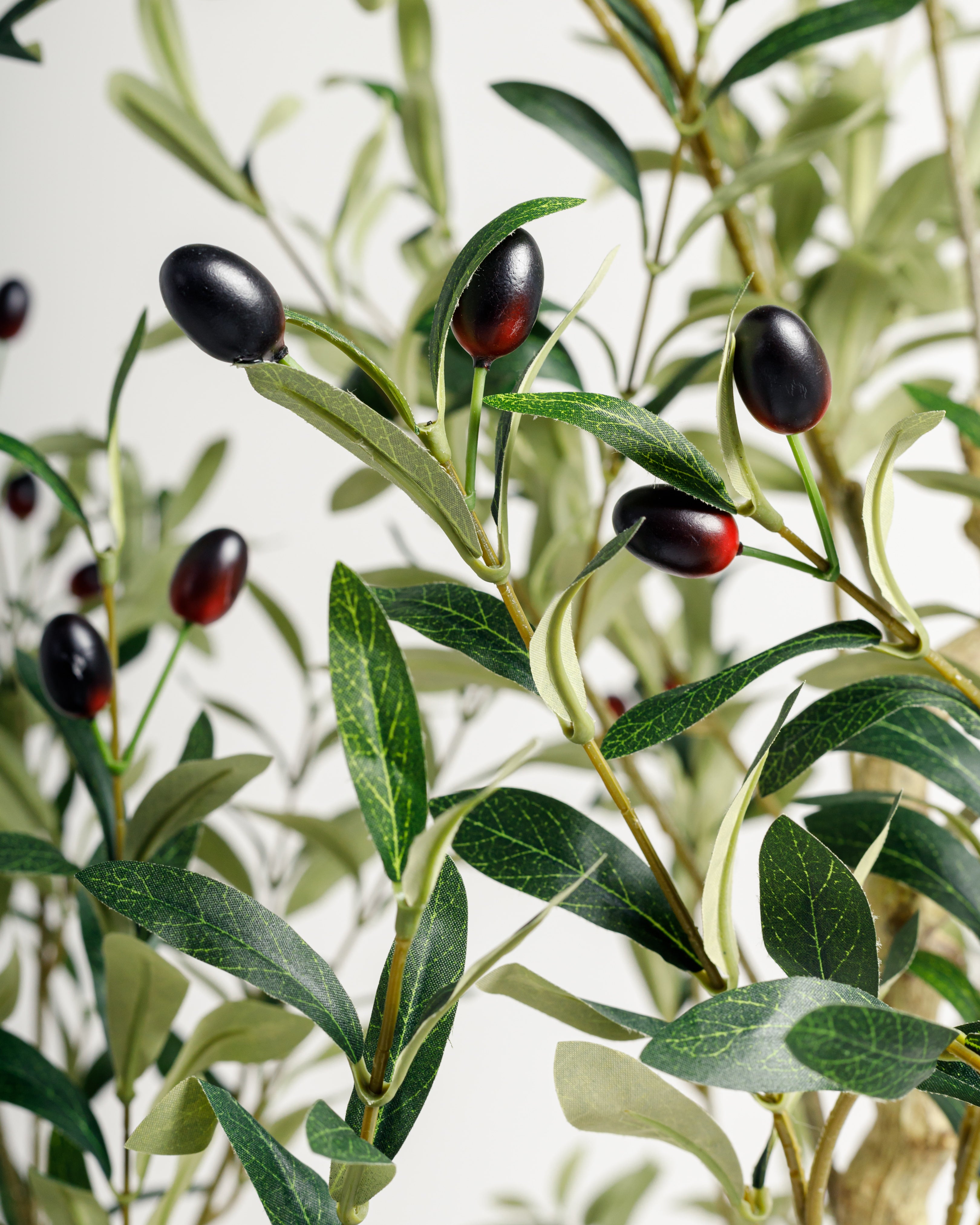Olive Multi Stem Artificial Tree