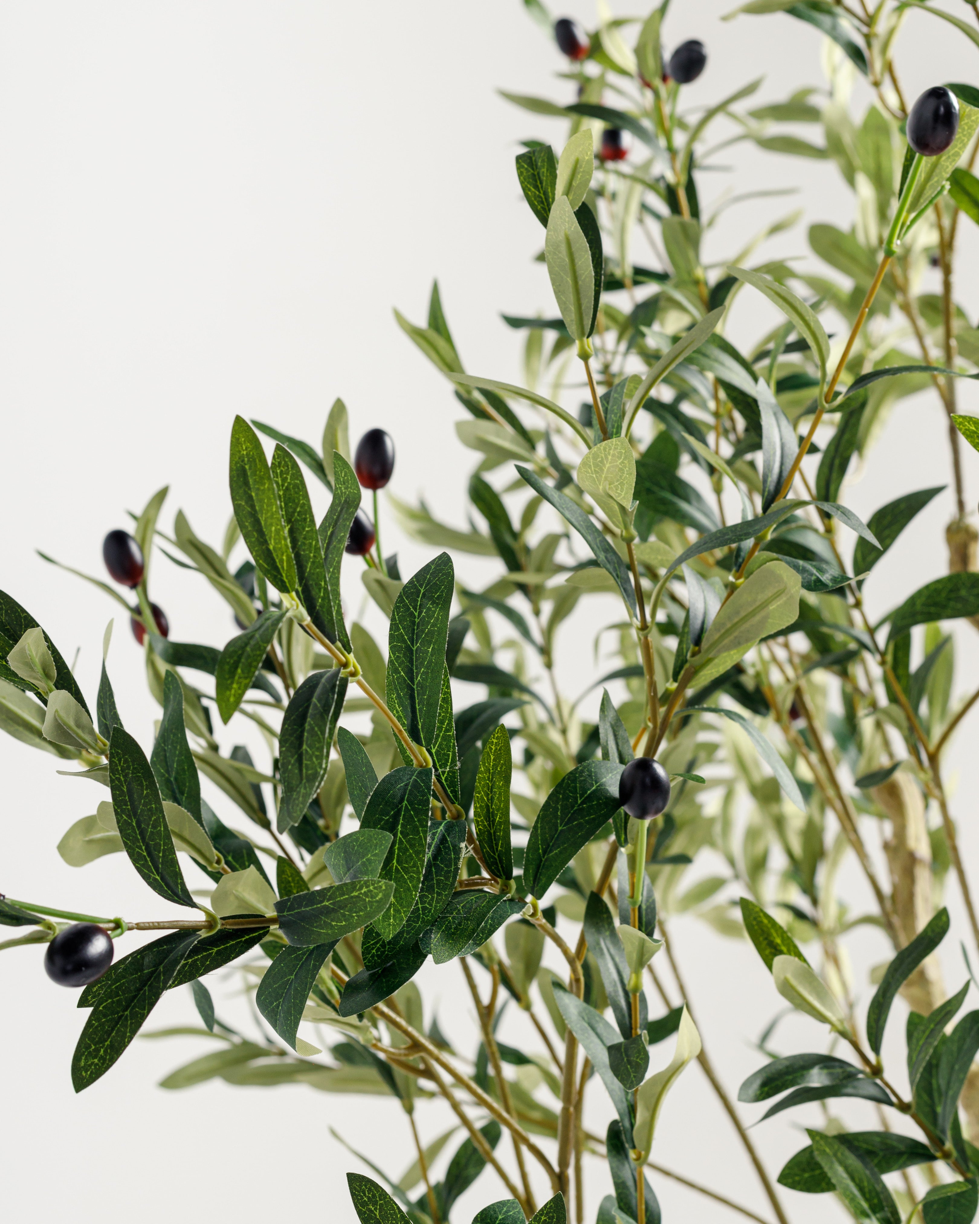 Olive Multi Stem Artificial Tree