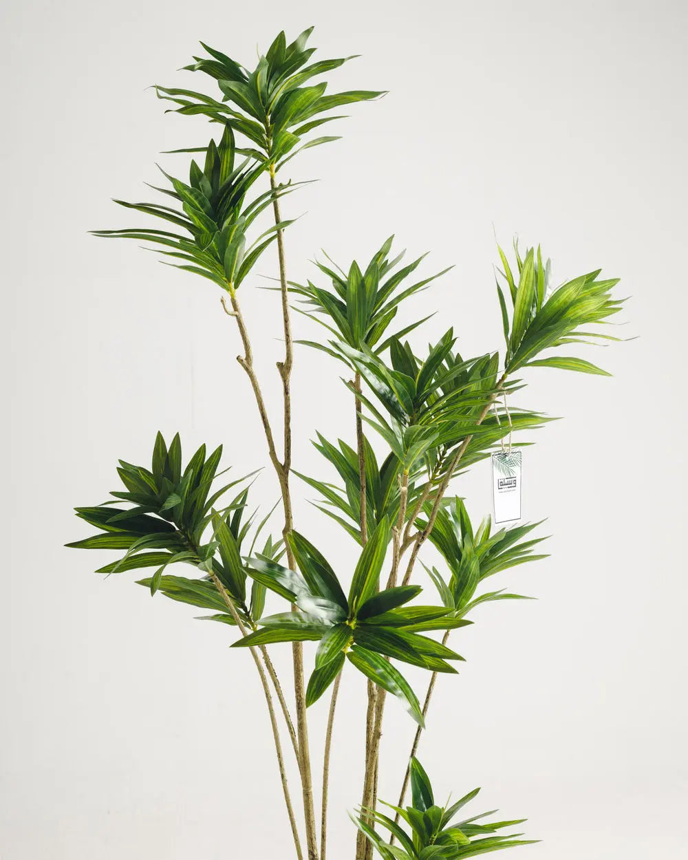 Dracaena Artificial Tree Wasilaah UAE