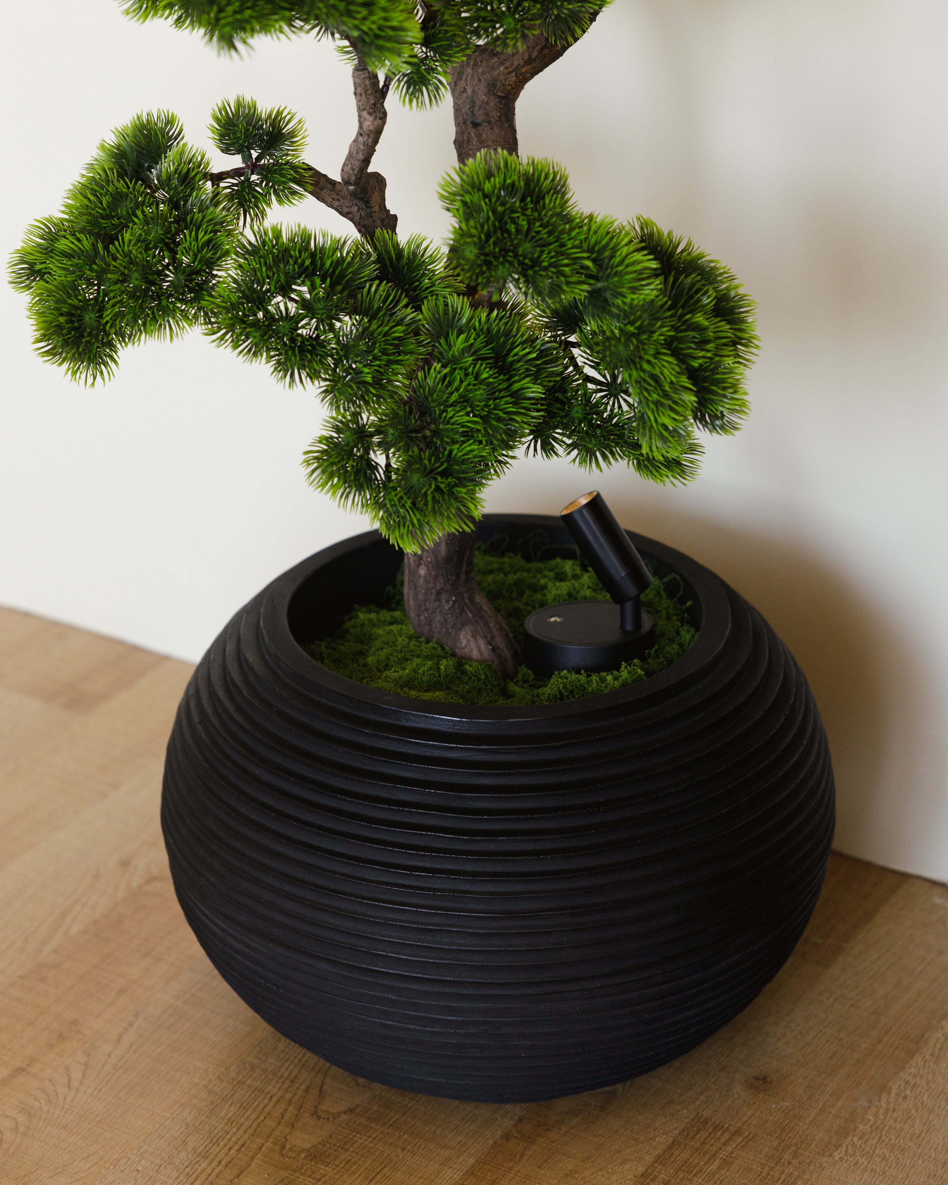 Black Pot Wasilaah UAE
