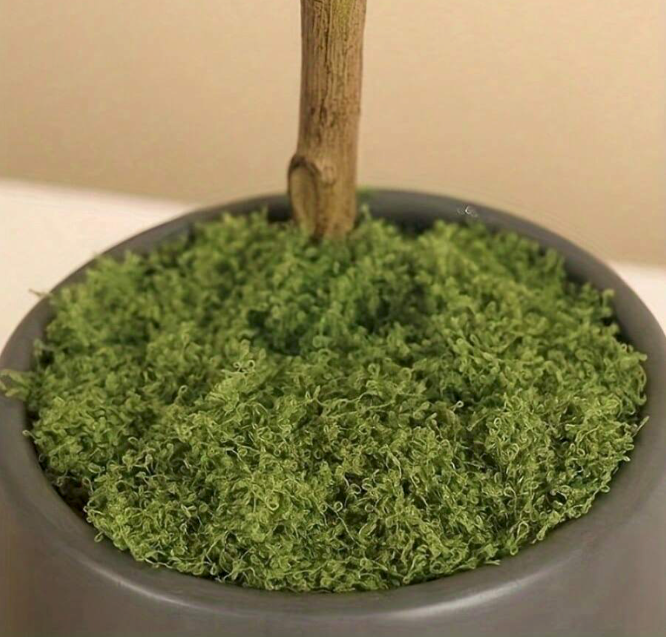 50g Artificial Green Moss Simulated Plant Wasilaah UAE
