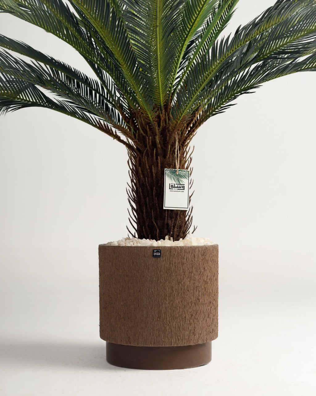 Lux Palm Tree Wasilaah UAE