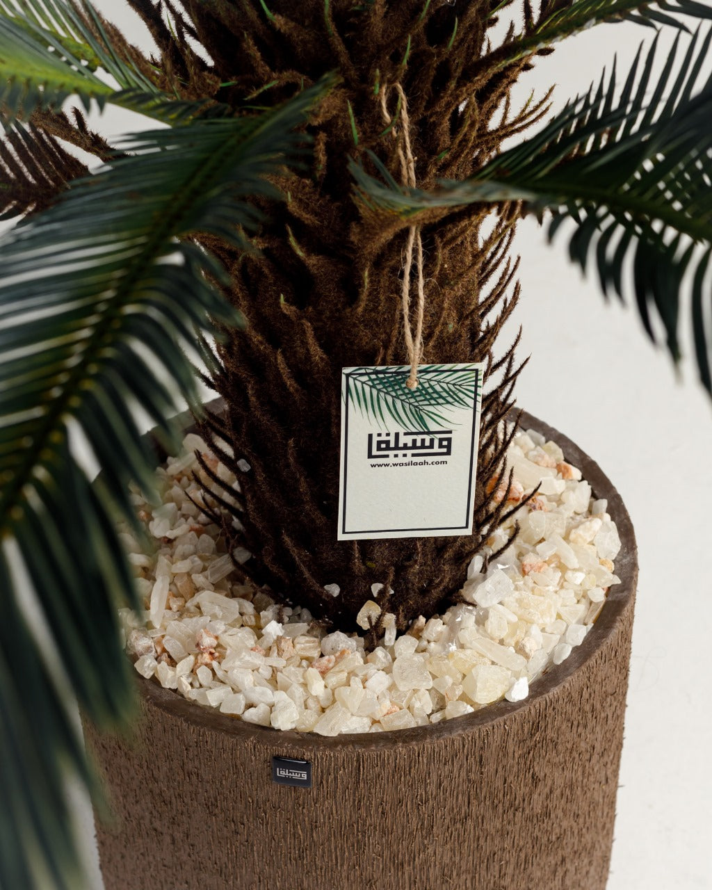 Lux Palm Tree Wasilaah UAE