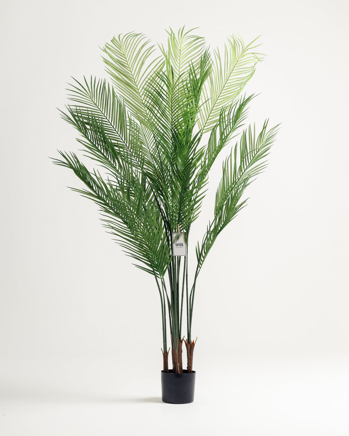 artificial palm tree
