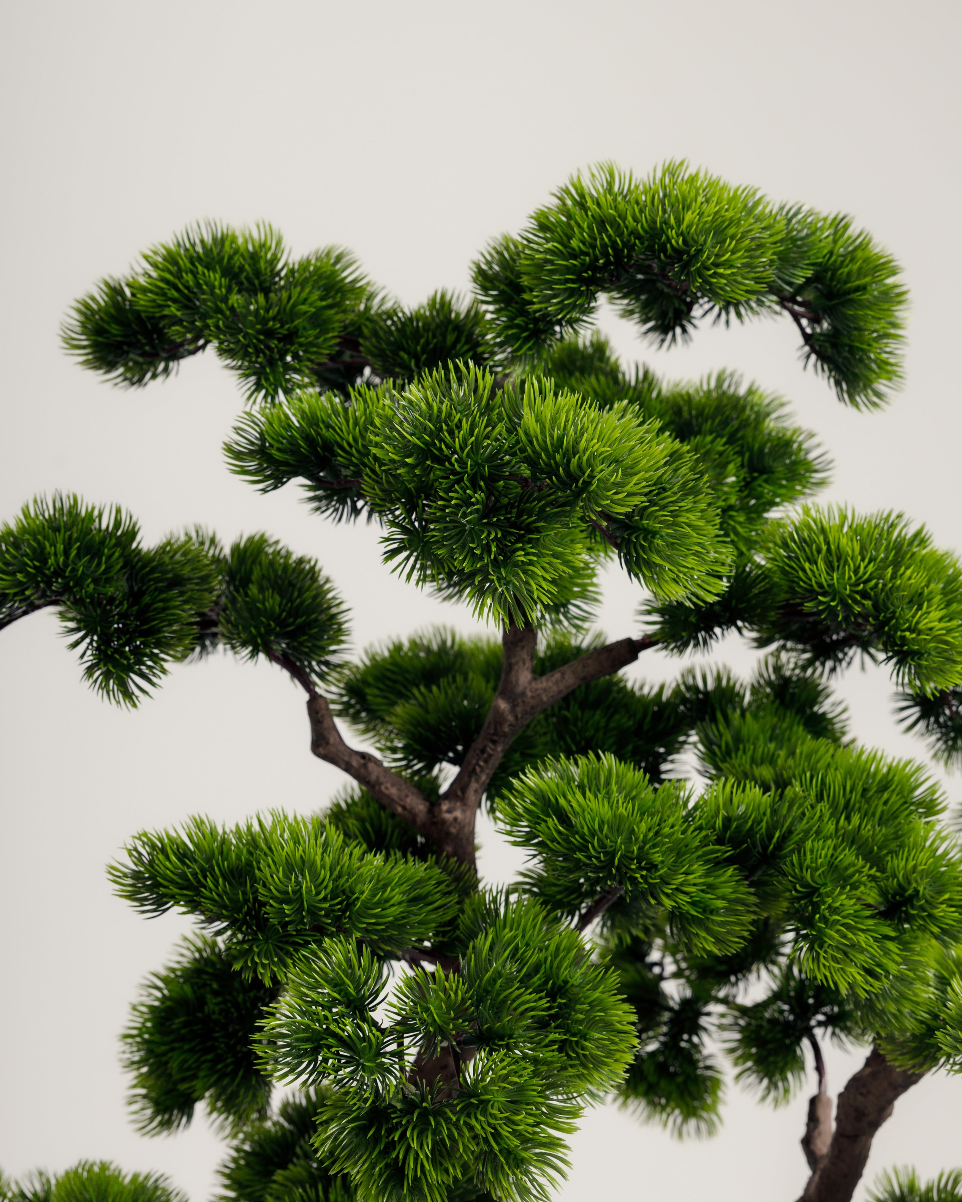 Bonsai Artificial Tree Wasilaah UAE