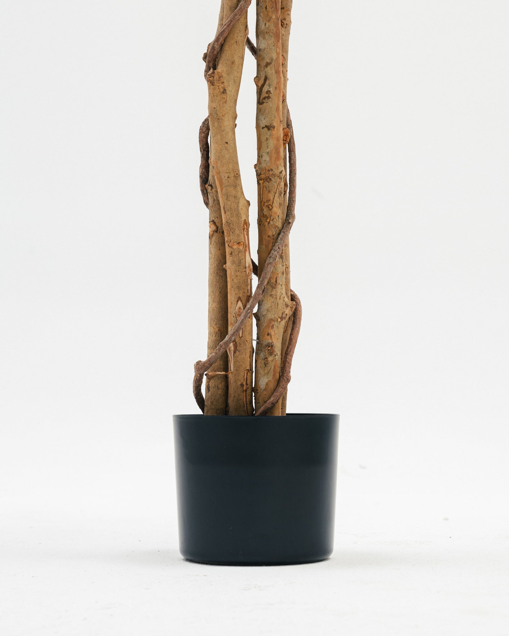 شجرة زيتون صناعية Wasilaah UAE