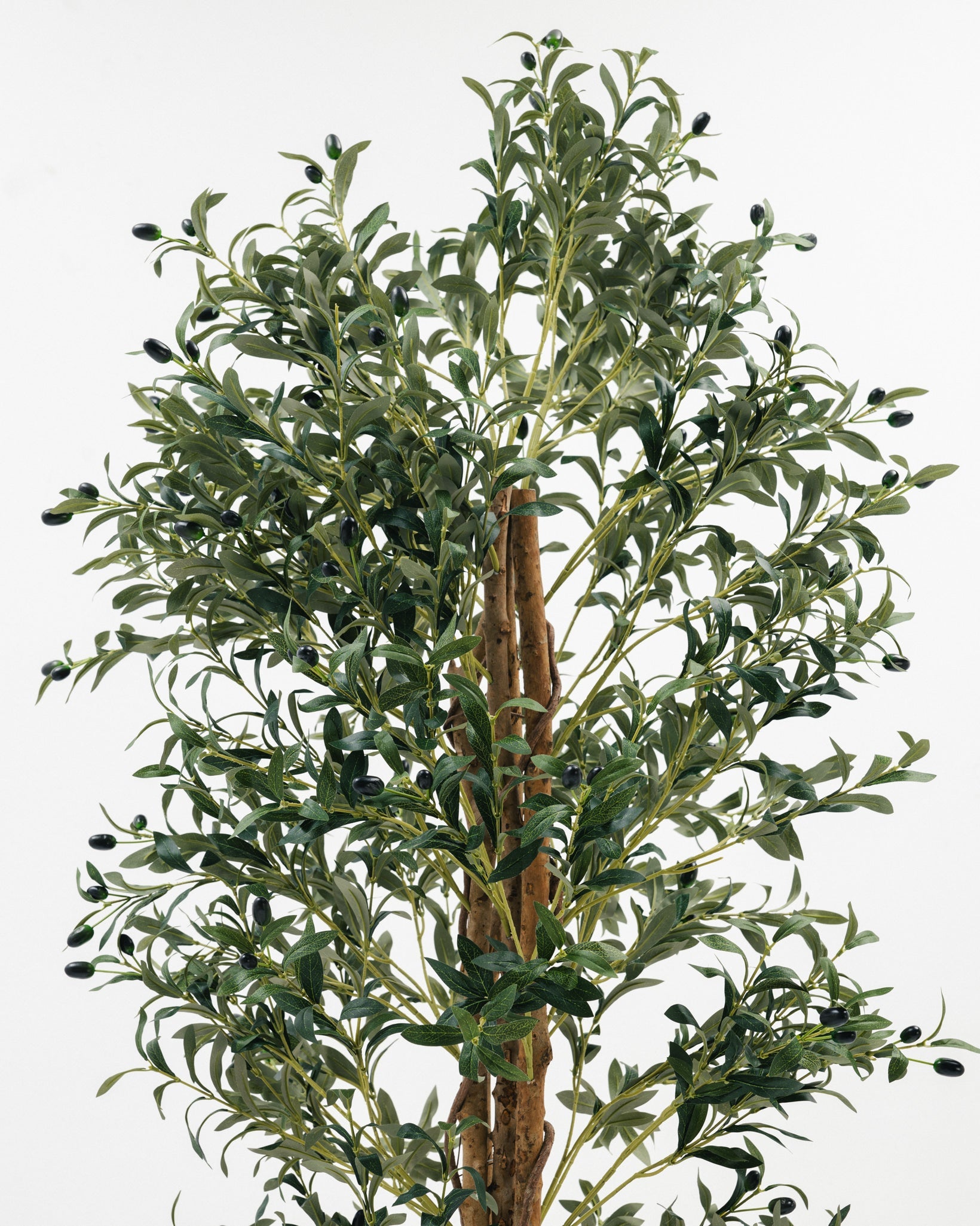 شجرة زيتون صناعية Wasilaah UAE