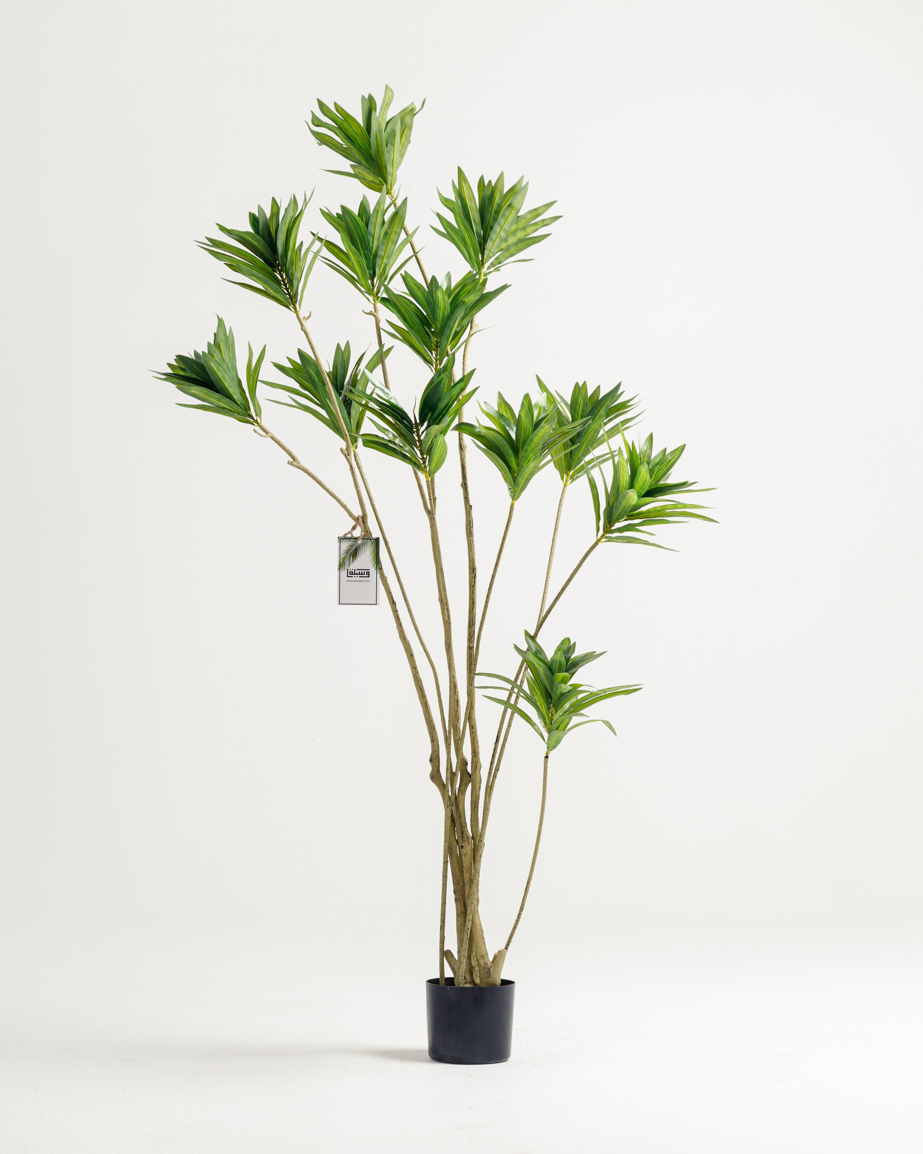 Dracaena Artificial Tree