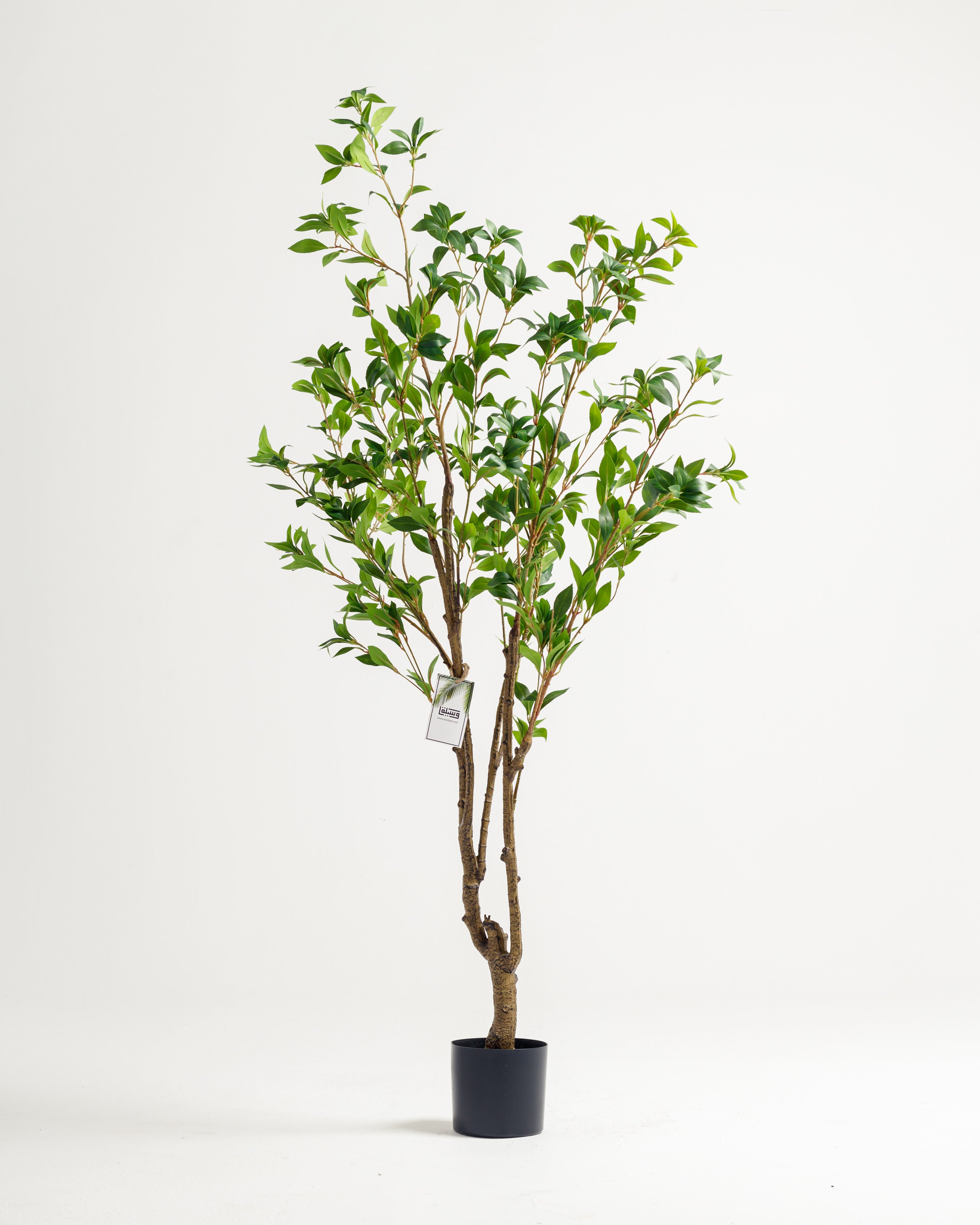 Benjamina Artificial Tree