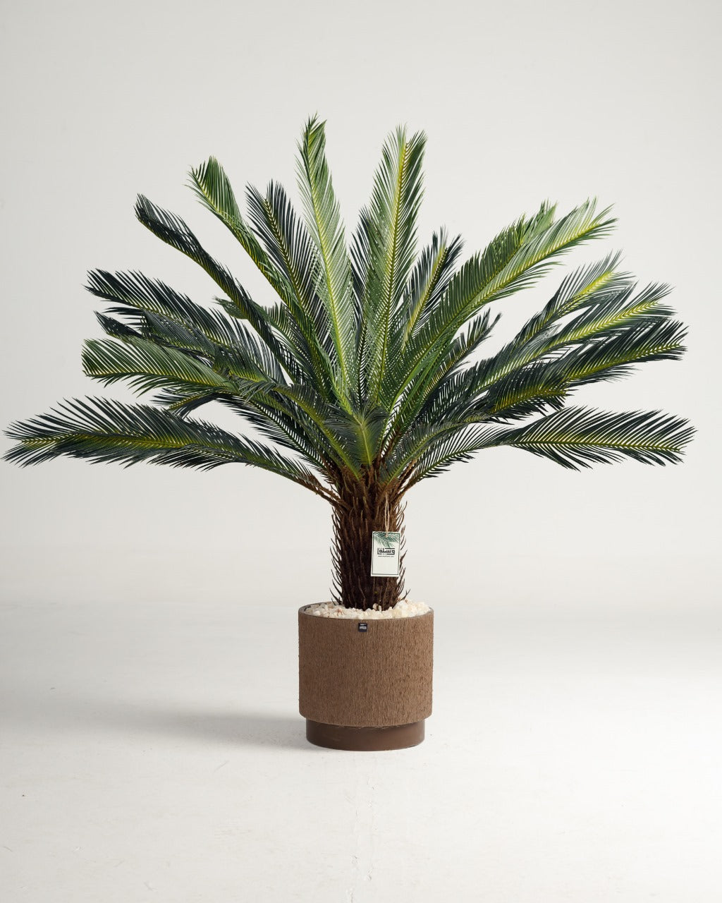 Lux Palm Tree Wasilaah UAE