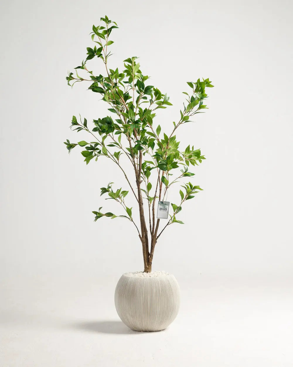 Benjamina Artificial Tree Wasilaah UAE